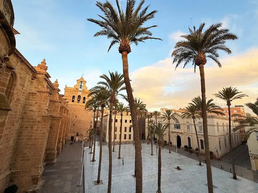 Almería'da palmiyelerle kaplı tarihi meydan ve katedral mimarisi