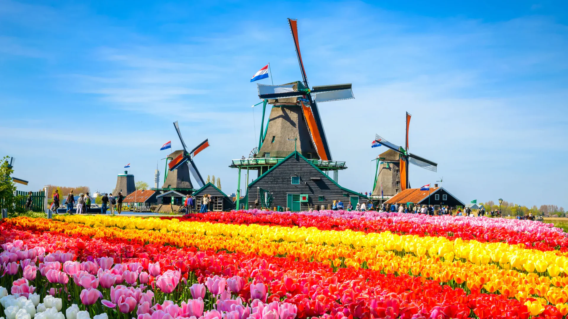 Amsterdam kanal evleri ve Hollanda'daki tarihi sahil
