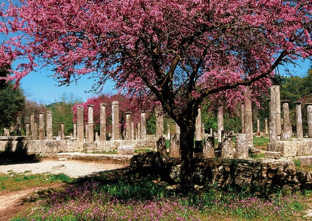 Kyllini'nin görülecek yerleri ve ziyaretçilerin öne çıkanları