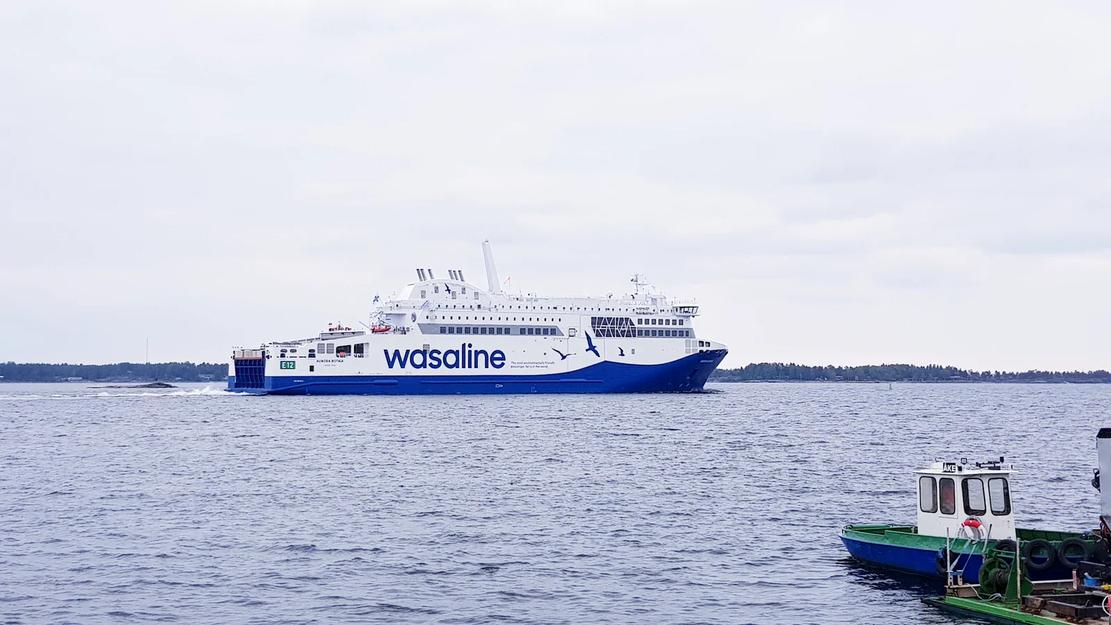 Wasaline renklerinde Aurora Botnia